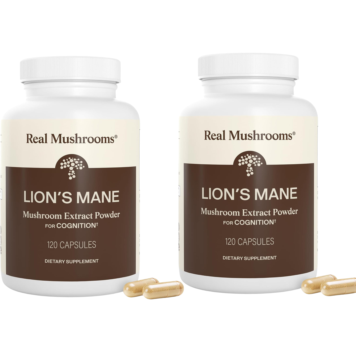Real Mushrooms Lion's Mane Mushroom Extract Powder for Cognition – 120 Capsules