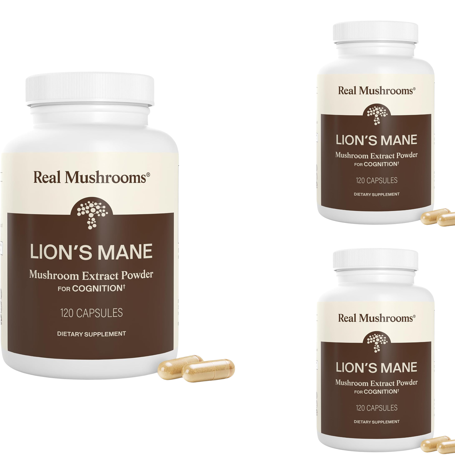 Real Mushrooms Lion's Mane Mushroom Extract Powder for Cognition – 120 Capsules