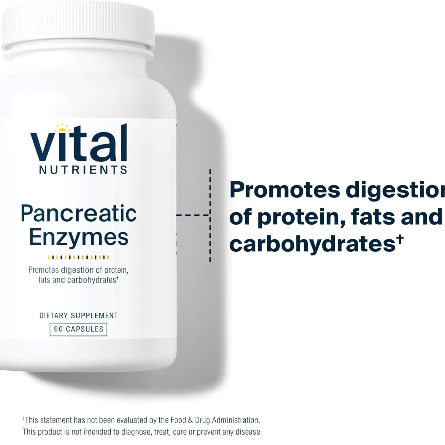 Vital Nutrients Pancreatic Enzymes - 90 Capsules | Digestive Support
