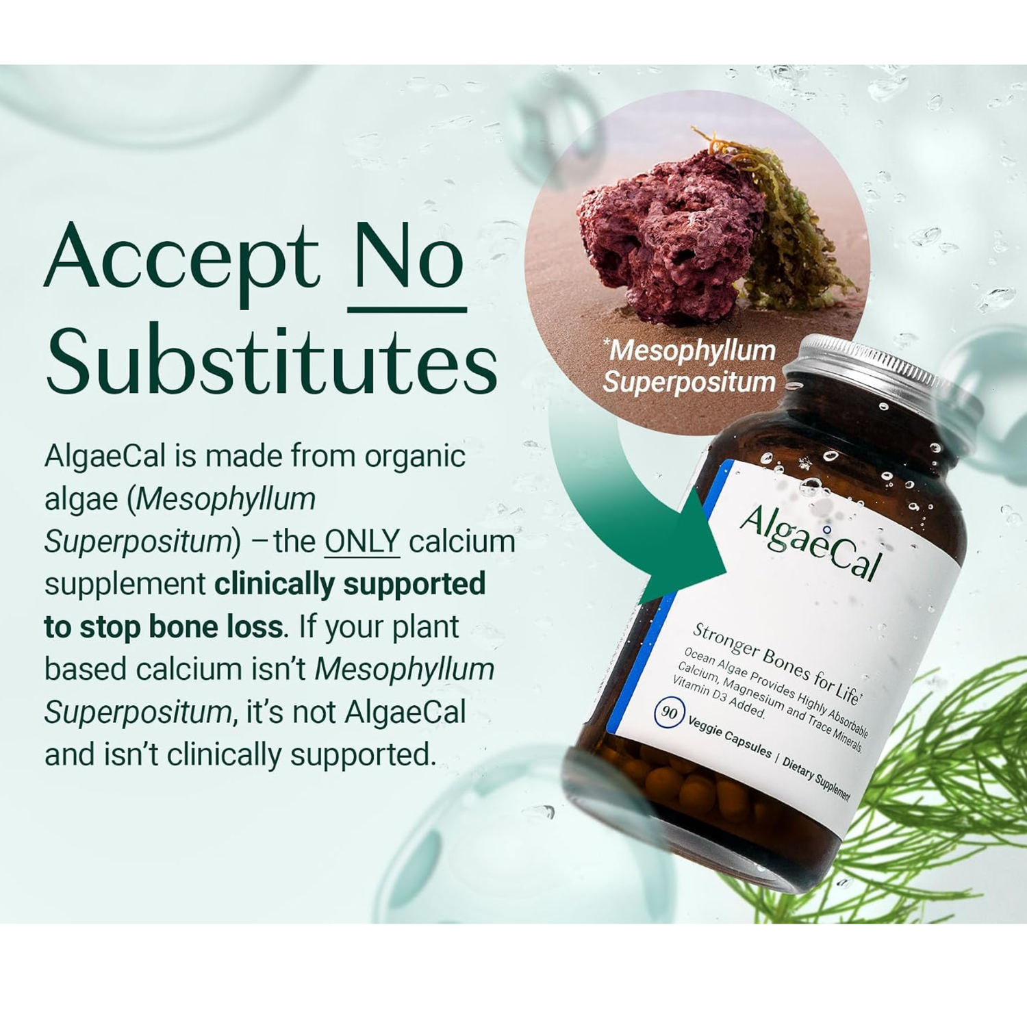 AlgaeCal Plant Calcium | Stronger Bones for Life | Ocean Algae Calcium with Magnesium & Vitamin D3 | 90 Veggie Capsules