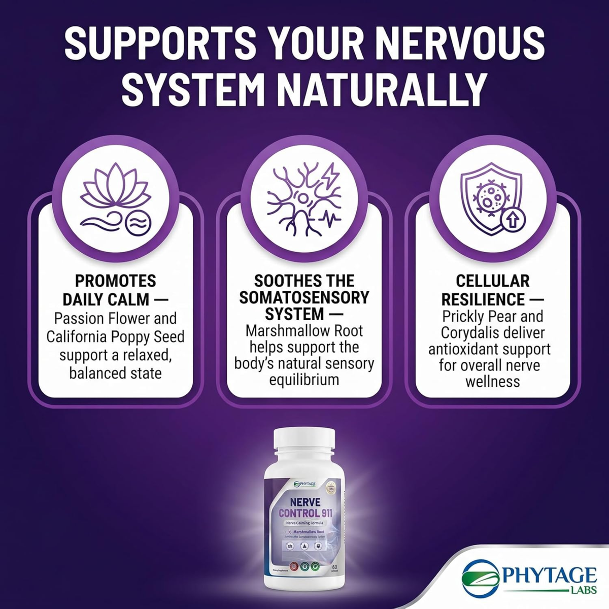 PhytAge Laboratories Nerve Control 911 Nerve Calming Formula – 3 Pack Value Bundle